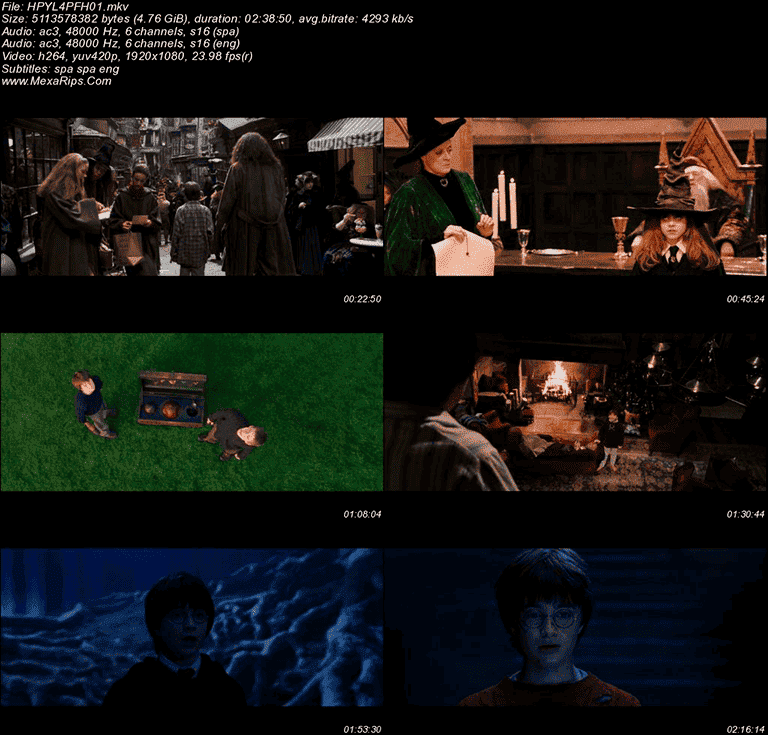 Harry Potter y la Piedra Filosofal (2001)