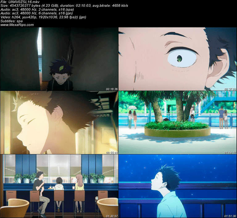 Una Voz Silenciosa (2016)