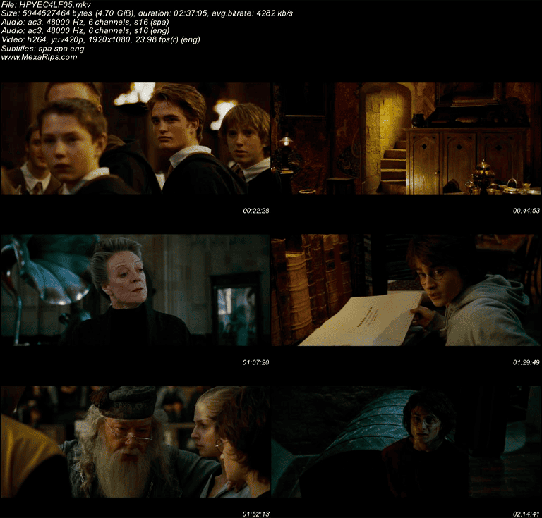 Harry Potter y el Cáliz de Fuego (2005)