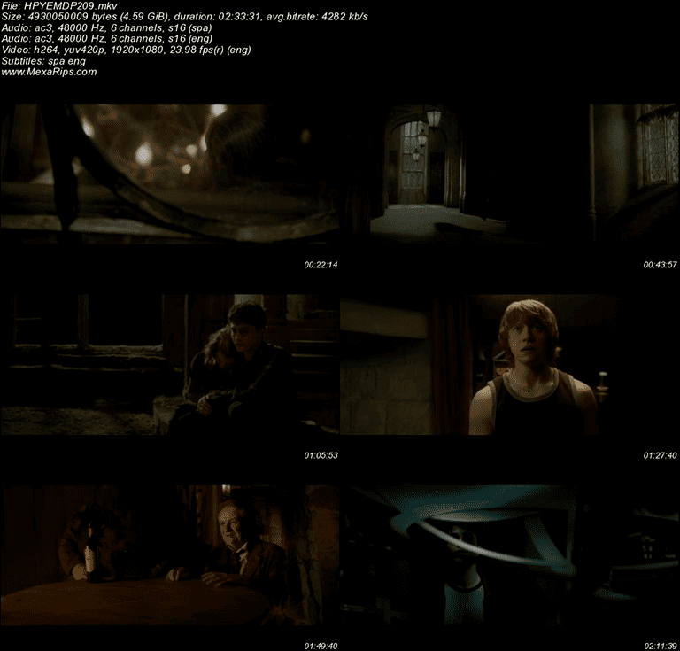 Harry Potter y el Misterio del Príncipe (2009)