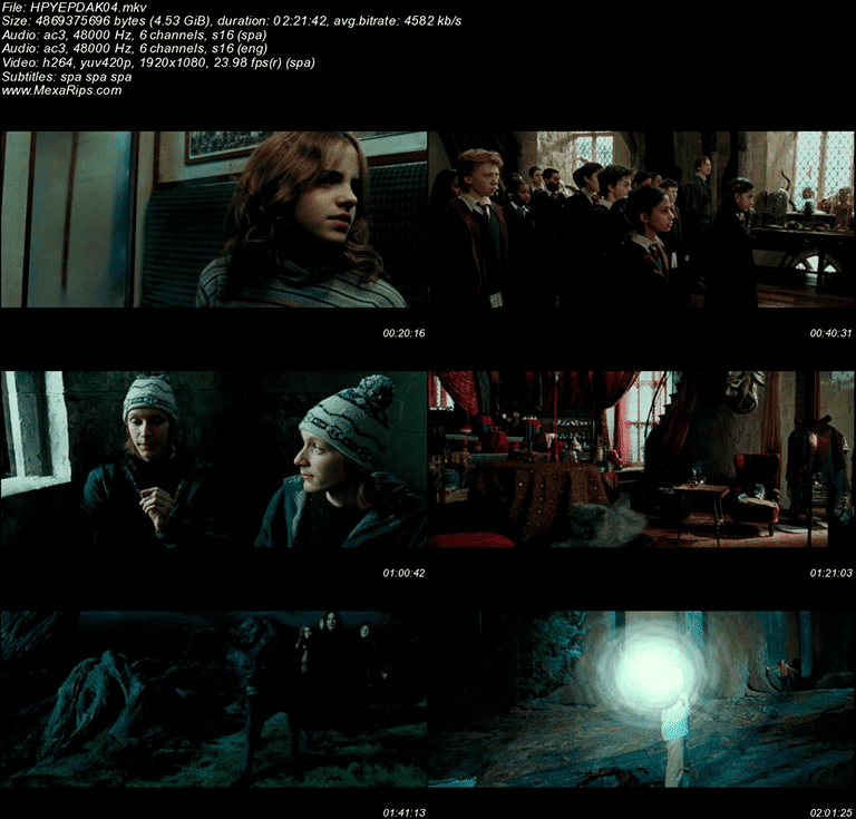 Harry Potter y el Prisionero de Azkaban (2004)