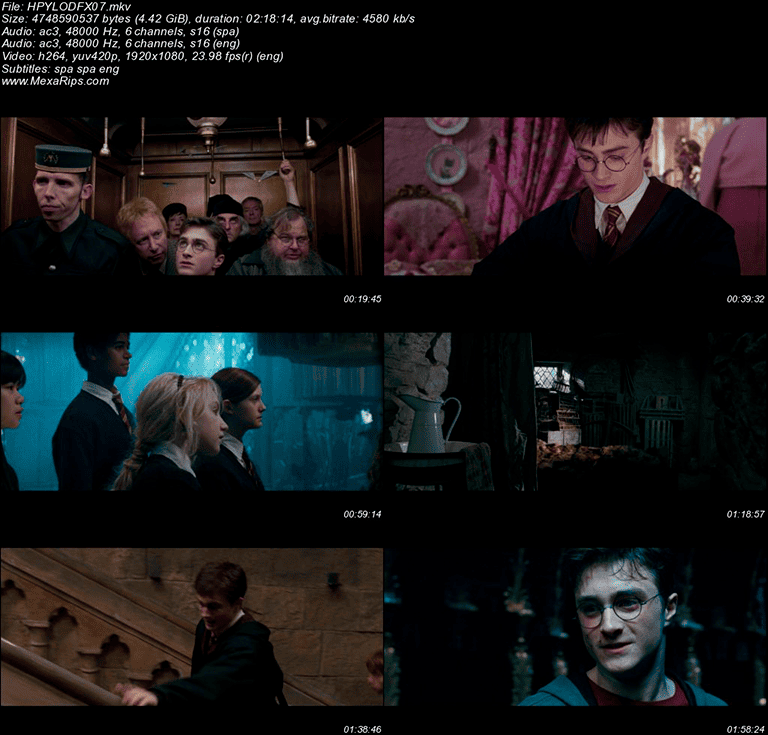 Harry Potter y la Orden del Fénix (2007)