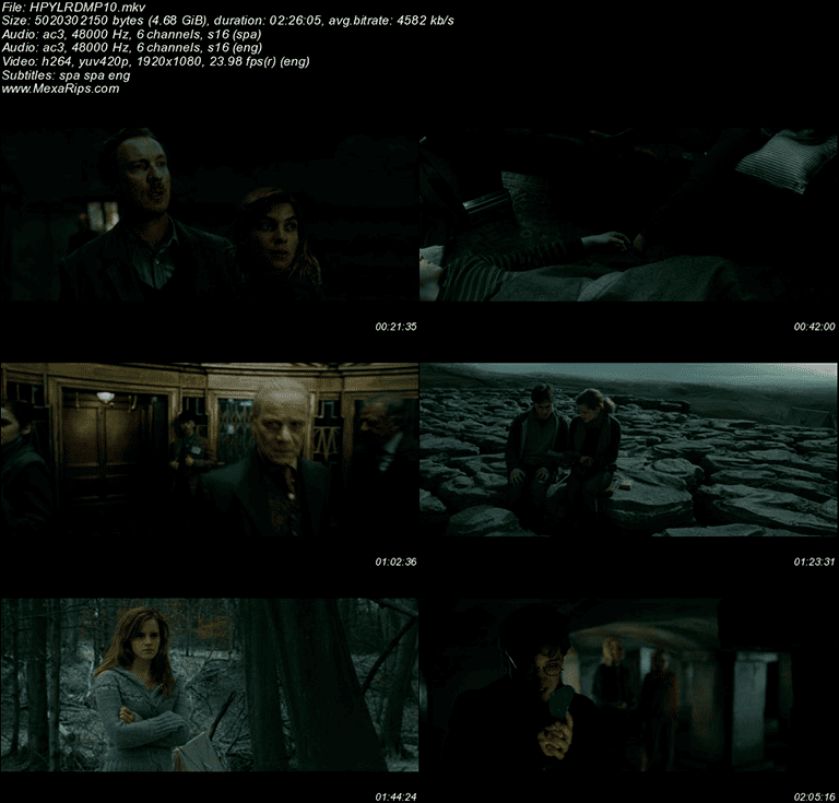 En Harry Potter y las Reliquias de la Muerte (2010)