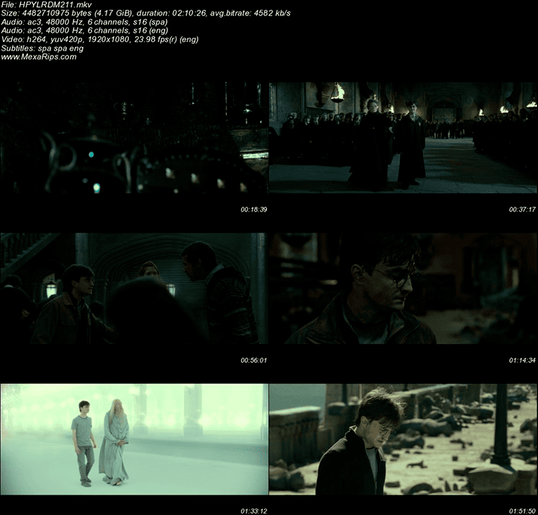 Harry Potter y las Reliquias de la Muerte (2011)