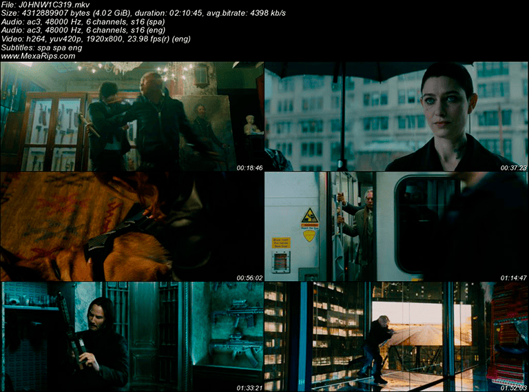 John Wick 3: Parabellum (2019)